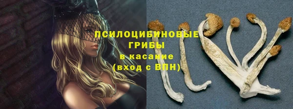 СК Алексеевка
